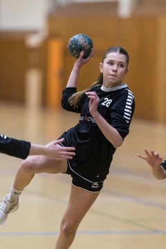 Bild 291 - wBJ TSV Ellerau - HSG Stoertal Hummeln : Ergebnis: 26:19